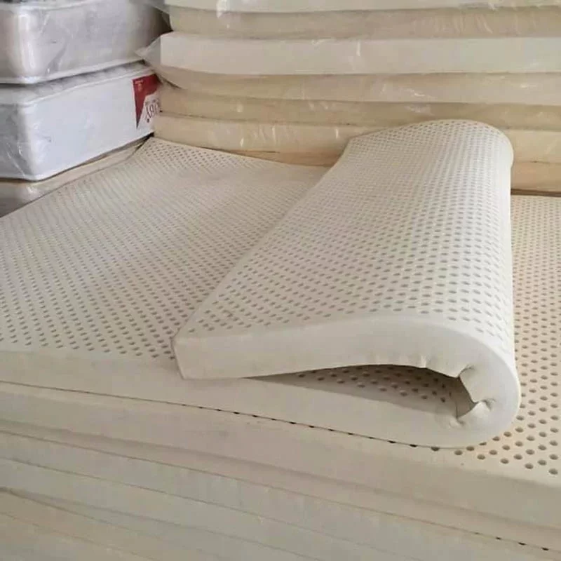 CAO SU NON LÀ GÌ? GỐI VÀ NỆM CAO SU NON CÓ TỐT KHÔNG?